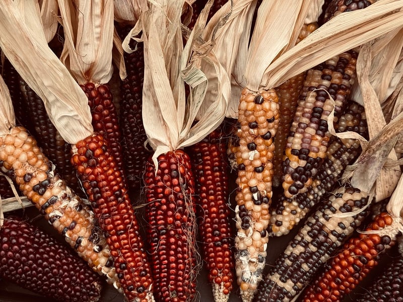 Local Growers